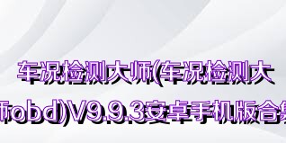 車況檢測大師(車況檢測大師obd)V9.9.3安卓手機(jī)版合集