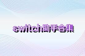 switch助手合集