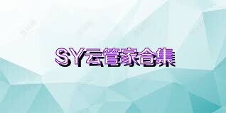 SY云管家合集