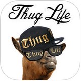 thuglifemaker音乐