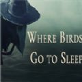 Where Birds Go to Sleep