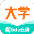 新東方大學(xué)考試