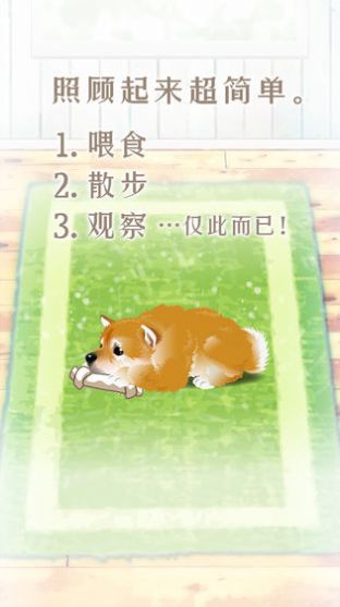 撲家養(yǎng)育柴犬的治愈游戲中文漢化版