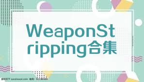 WeaponStripping合集