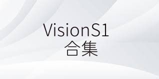 VisionS1合集