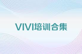 VIVI培訓(xùn)合集