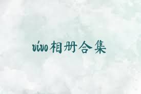 vivo相冊合集