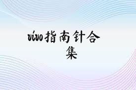 vivo指南針合集