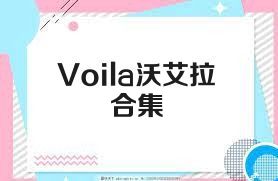 Voila沃艾拉合集