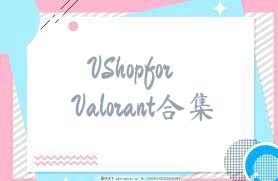 VShopforValorant合集