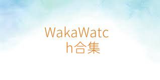 WakaWatch合集