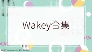 Wakey合集