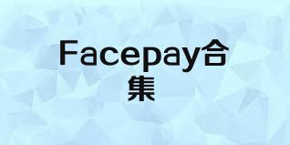 Facepay合集