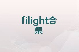 filight合集