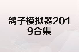 鴿子模擬器2019合集