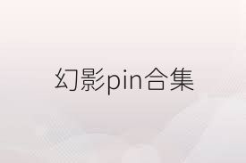 幻影pin合集