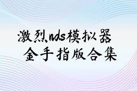 激烈nds模擬器金手指版合集