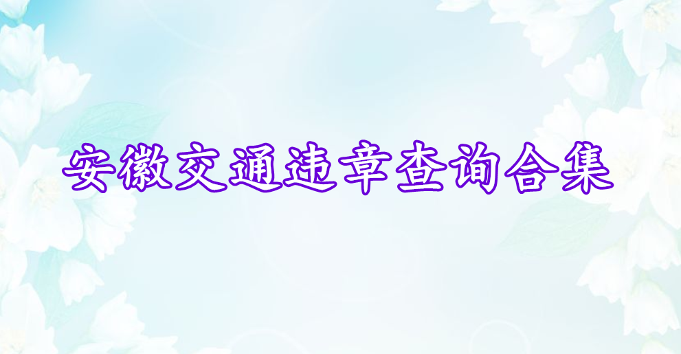 安徽交通違章查詢合集