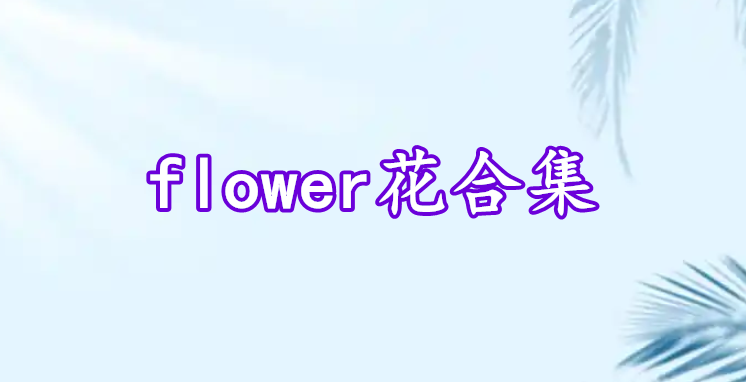 flower花合集