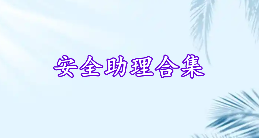 安全助理合集