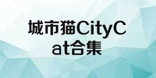 城市貓CityCat合集