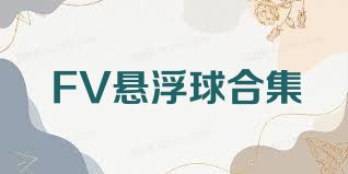 FV懸浮球合集