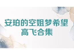 安珀的空姐夢(mèng)希望高飛合集