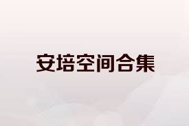 安培空間合集