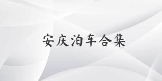 安慶泊車合集