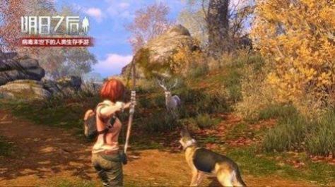阿浪國際服官方版2
