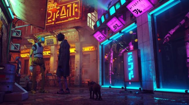 stray迷途貓3
