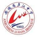 智慧廬中安卓版