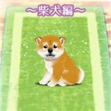 治愈系小狗養(yǎng)成游戲柴犬篇官方版