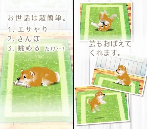治愈系小狗養(yǎng)成游戲柴犬篇官方版1