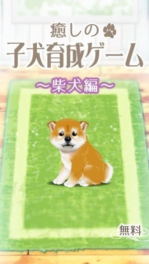 治愈系小狗養(yǎng)成游戲柴犬篇官方版2