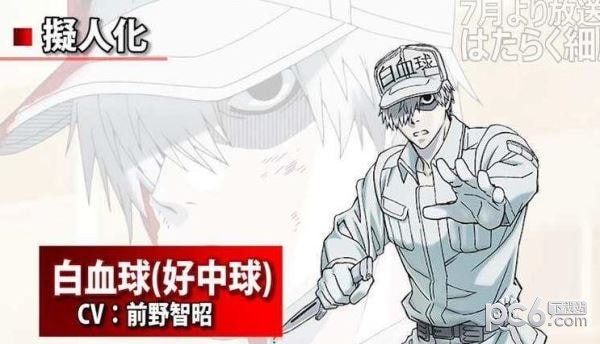 工作細(xì)胞真人版1