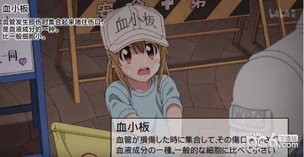 工作細(xì)胞真人版2