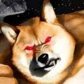 肌肉柴犬作弊菜單版