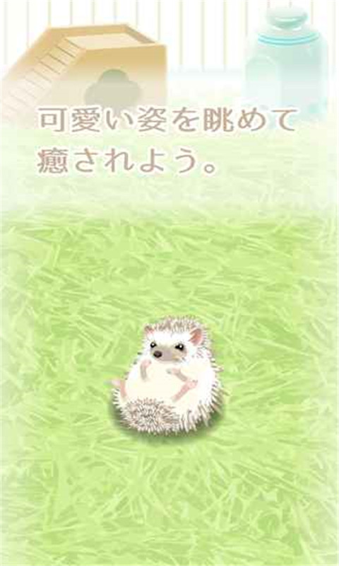 治愈的刺猬育成正版1