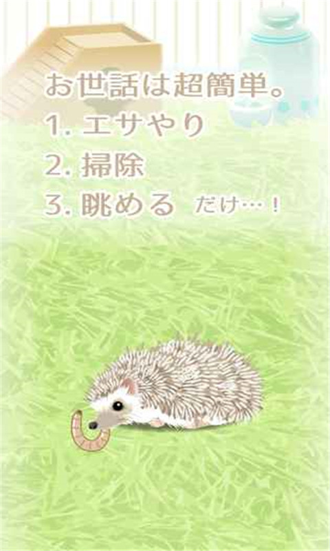 治愈的刺猬育成正版2