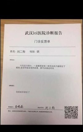 醫(yī)院報(bào)告單在線生成器軟件2