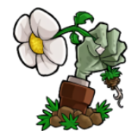 植物大戰(zhàn)僵尸TTD版官方版