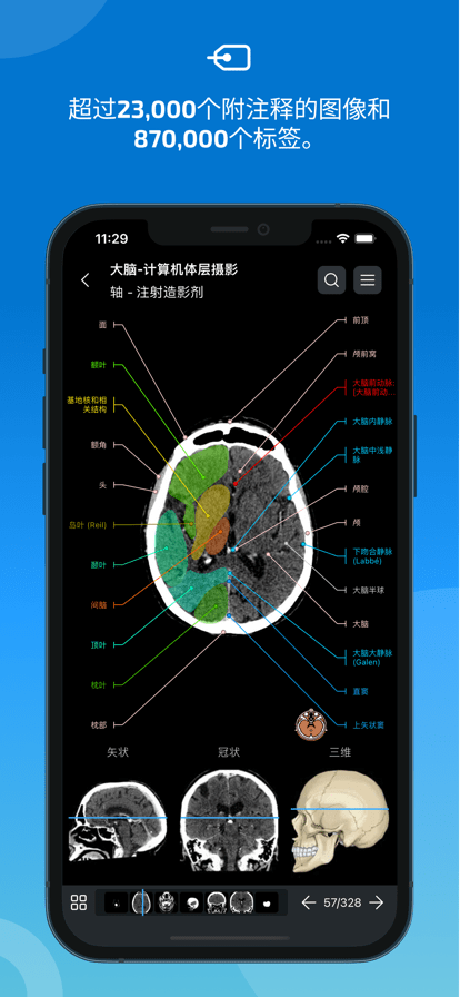 e-anatomy中文破解版1