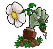 植物大戰(zhàn)僵尸xt版最新版
