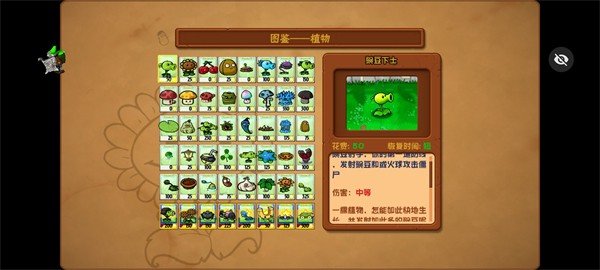 植物大戰(zhàn)僵尸小e版正版1