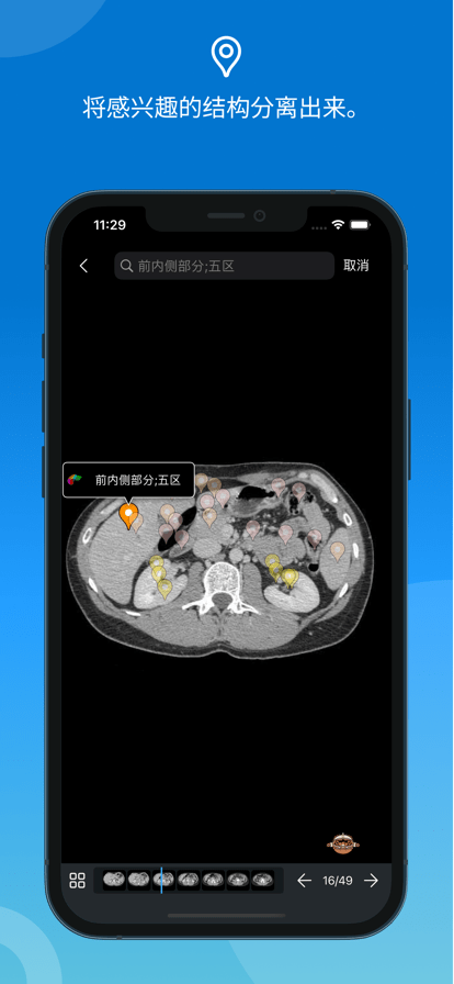 e-anatomy中文免費版3