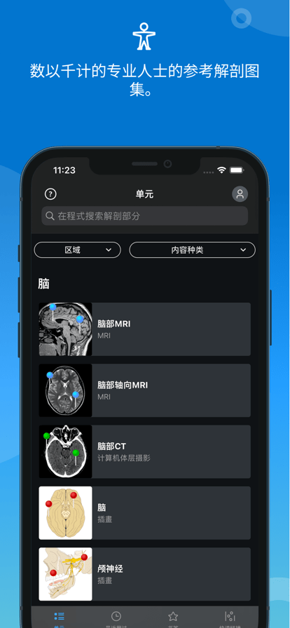 e-anatomy中文免費版4