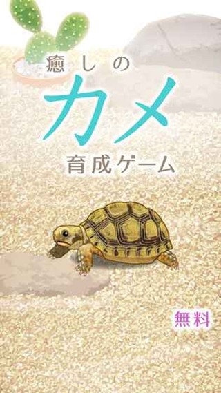 治愈的龜養(yǎng)成安卓版1