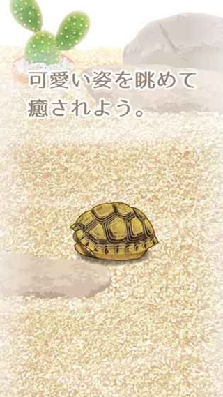 治愈的龜養(yǎng)成安卓版2
