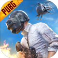 UU直裝PUBG體驗服免費版